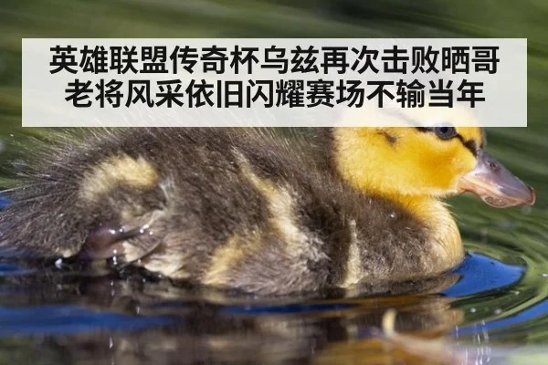 英雄联盟传奇杯乌兹再次击败晒哥 老将风采依旧闪耀赛场不输当年